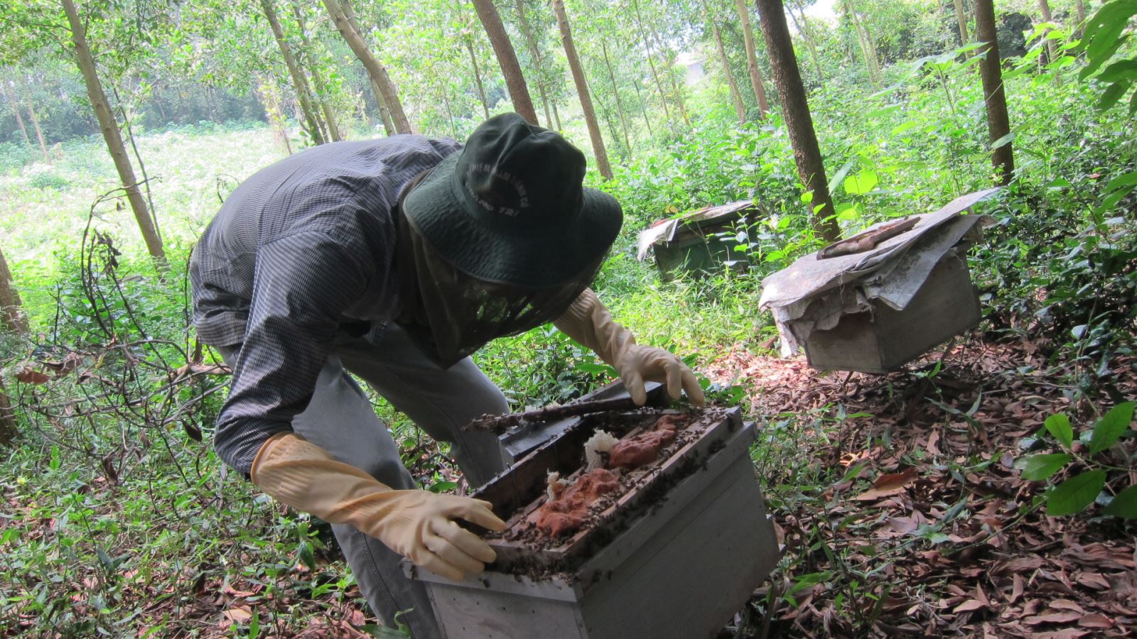 Lớp tập huấn các hộ nuôi ong tiêu biểu dự án cải thiện nuôi ong ở thôn Phúc Thành